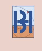 BHAR India Logo